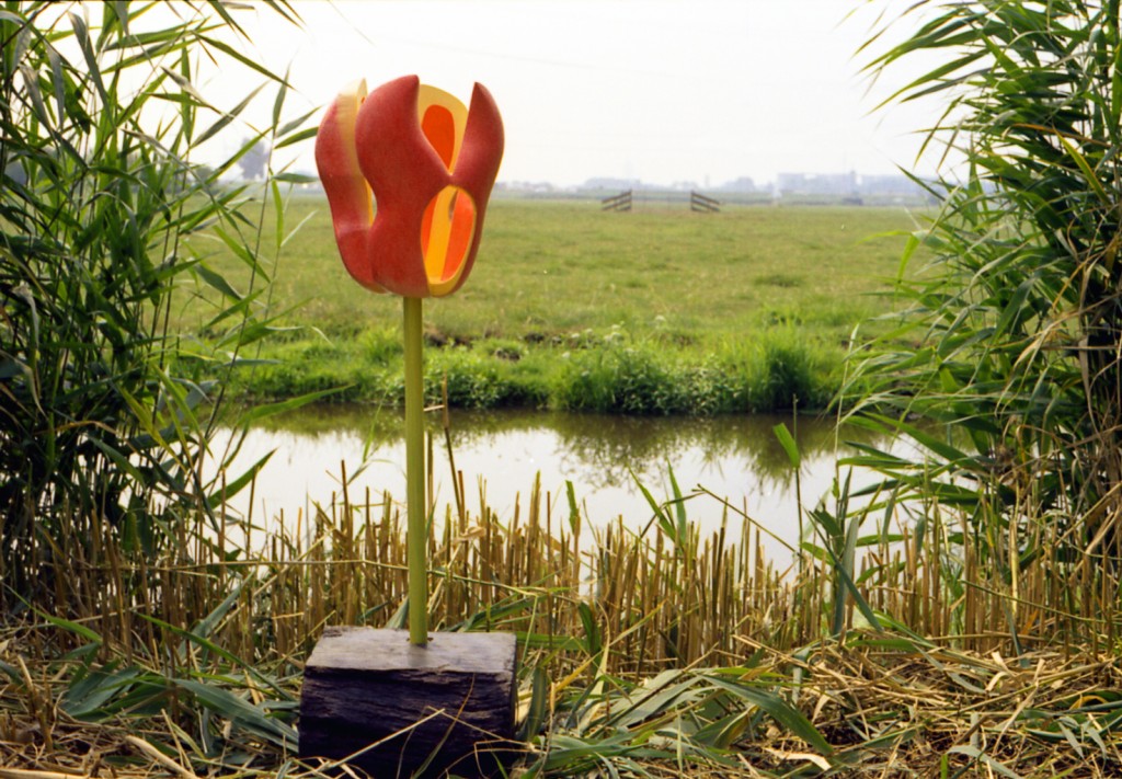 Tulipa Hollandica buiten